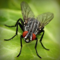 /album/lilian-joia/photolia-a01-jpg/