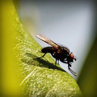 /album/lilian-joia/photolia-a04-jpg/