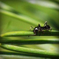 /album/lilian-joia/photolia-a05-jpg/