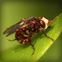 /album/lilian-joia/photolia-a06-jpg/