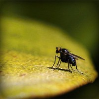 /album/lilian-joia/photolia-a07-jpg/