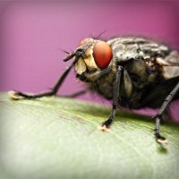 /album/lilian-joia/photolia-a08-jpg/